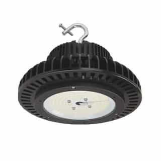 .75" Pendant Mount Adapter for 100W & 150W Round High Bay Lights