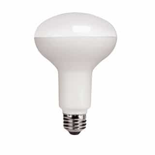 13W LED BR30 Bulb, 100W Halogen Retrofit, E26, 1550 lm, 5000K