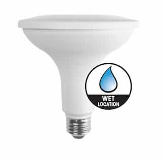 12.5W LED PAR38 Bulb, Flood, 120W Halogen Retrofit, E26, 1100 lm, 2700K