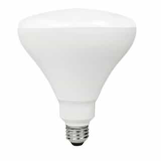 TCP Lighting 14W LED BR40 Bulb, Dimmable, E26, 1065 lm, 120V, 2700K
