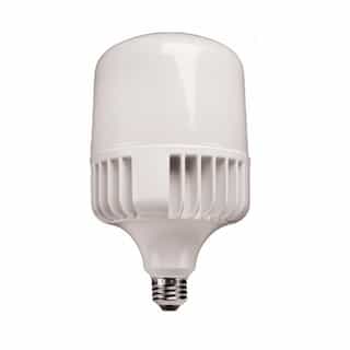 TCP Lighting 40W T-Shaped LED Corn Bulb, 175W MH/HID Retrofit, 5850 lm, 4000K