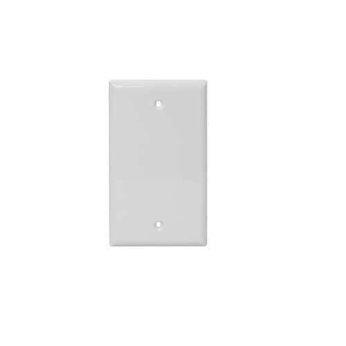 1-Gang Blank Face Wall Plate, Plastic, Standard, White