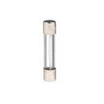 FTZ Industries MDL Time Delay Glass Tube Fuse, 10A