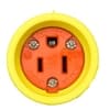 Ericson 6-ft Power Drop, NEMA Plug, Watertight, 14/3 AWG, 15A, 125V