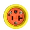 Ericson 20-ft Power Drop, NEMA Plug, Watertight, 12/3 AWG, 15A, 125V