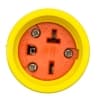 Ericson 10-ft Power Drop, 12/3 AWG, NEMA Plug, Watertight, 20A, 250V