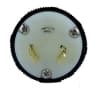 Ericson 2311 Perma-Spec Locking Plug, NEMA L5-20, 125V
