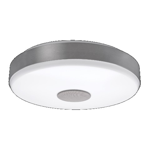 Ceiling light with speaker top