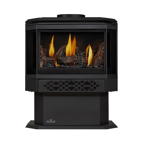 Napoleon Haliburton Stove w/ Electronic Ignition, Direct, Natural