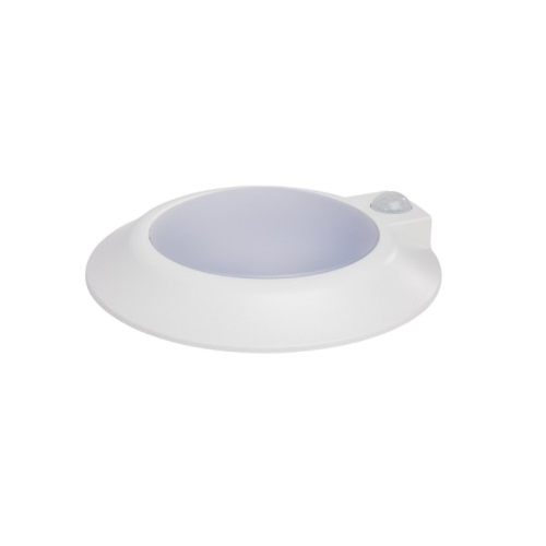 【Jyuuiti Ninomae 】 ERECTA LS1820 NUV-621820.jpg?t=1704208927