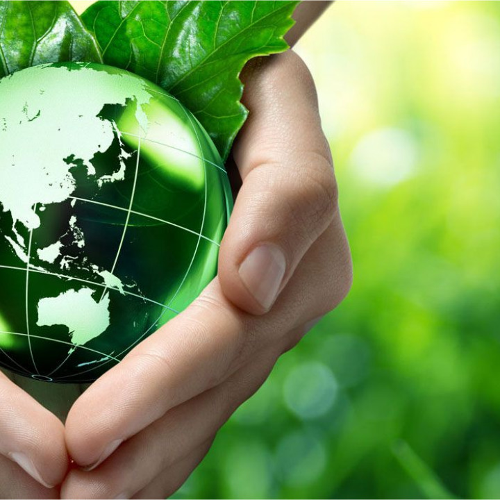 Green Seal: A Green Building and Eco Friendly Product Certification