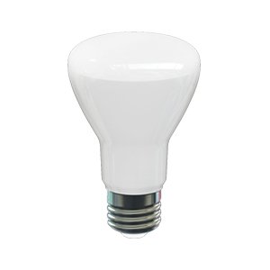 BR20 bulb type