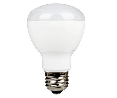 R20 bulb type