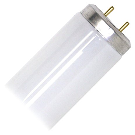 T12 bulb type