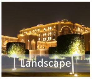 landscape lighting